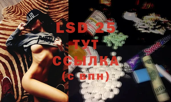 крисы Слюдянка