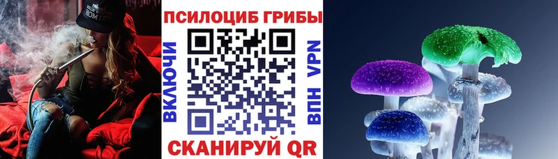 Галлюциногенные грибы Cubensis купить наркоту Верхотурье